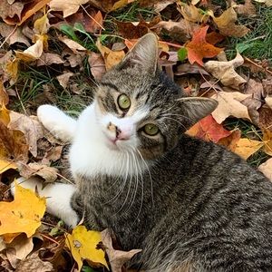 Meet your Posher, Riley